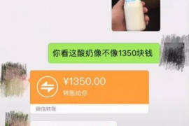 句容为什么选择专业追讨公司来处理您的债务纠纷？